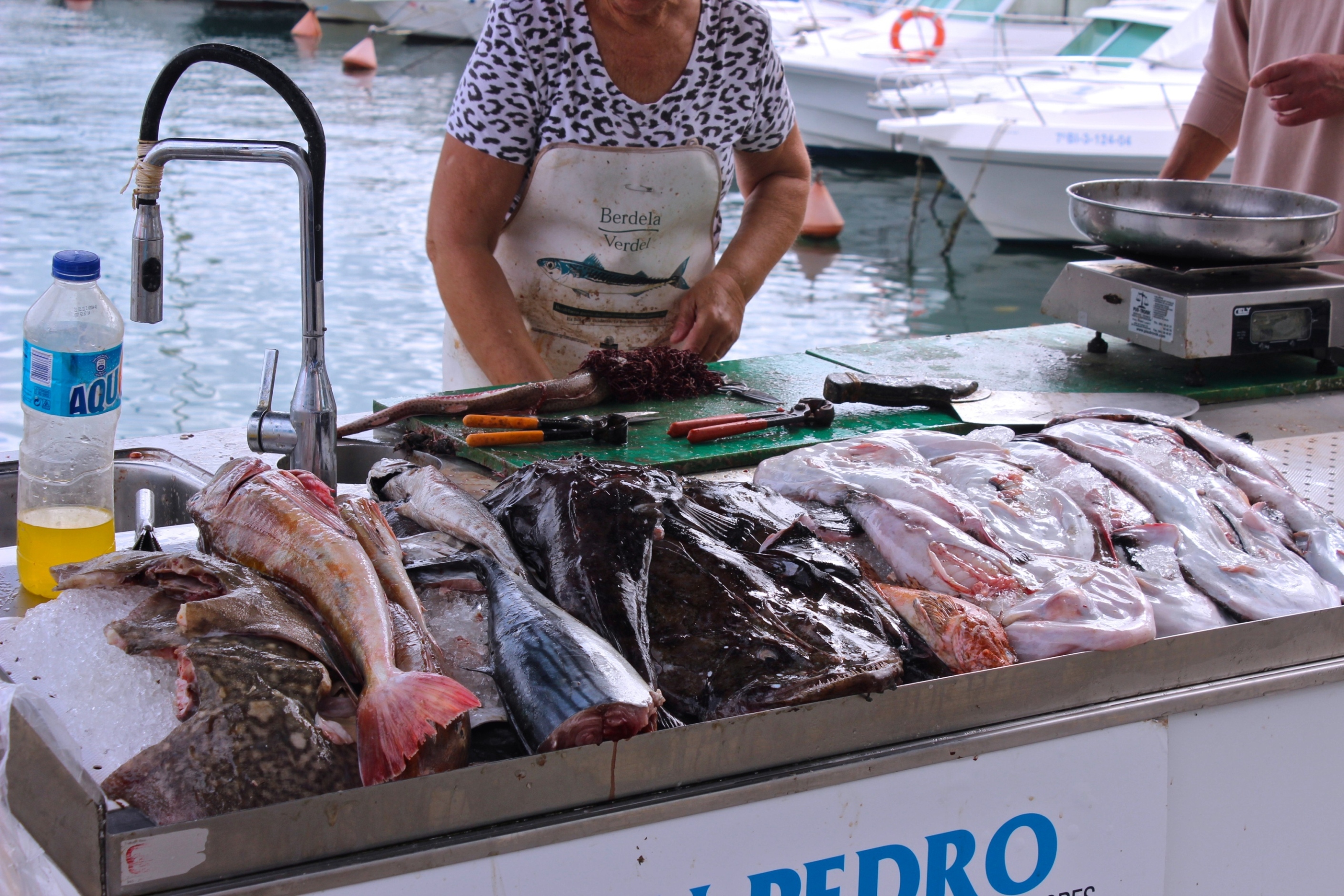 Bizkaia & Basque Contrasts Tour