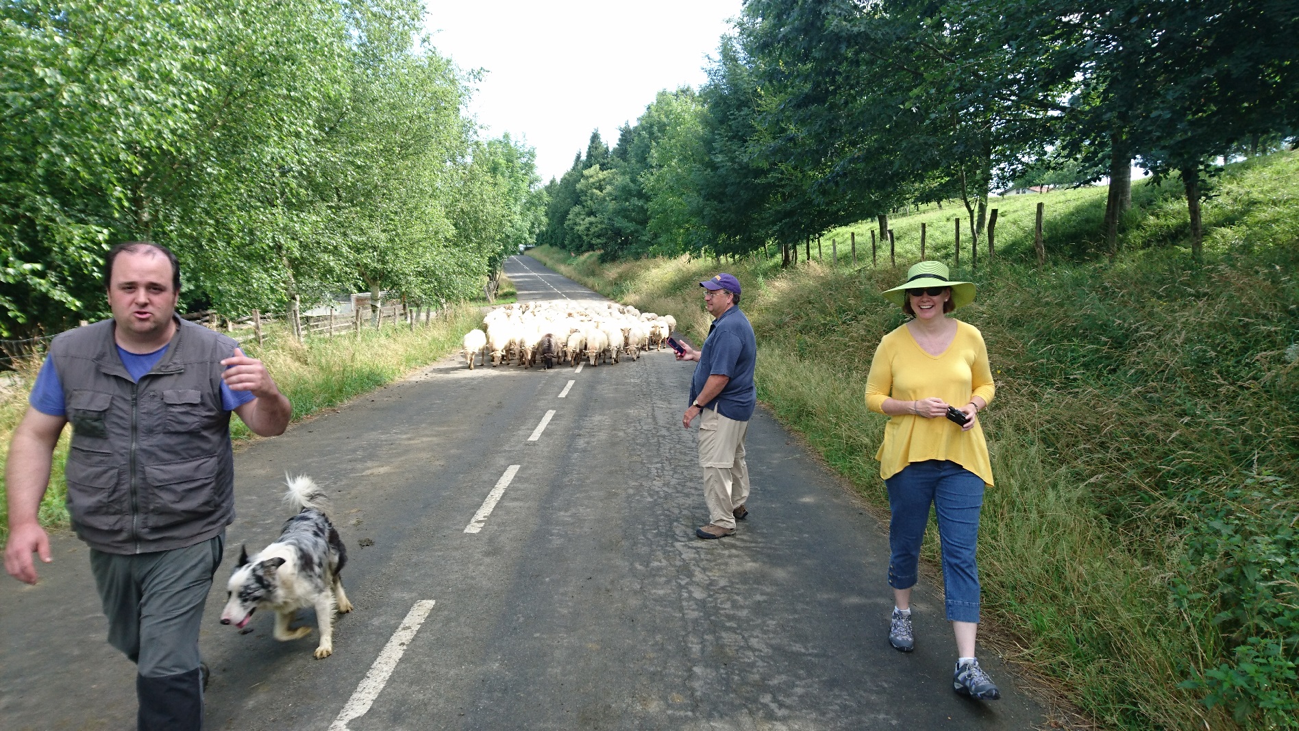 Basque Shepherds...