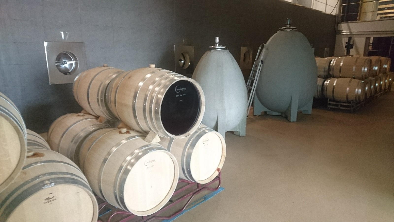 Basque Experiences Wine
